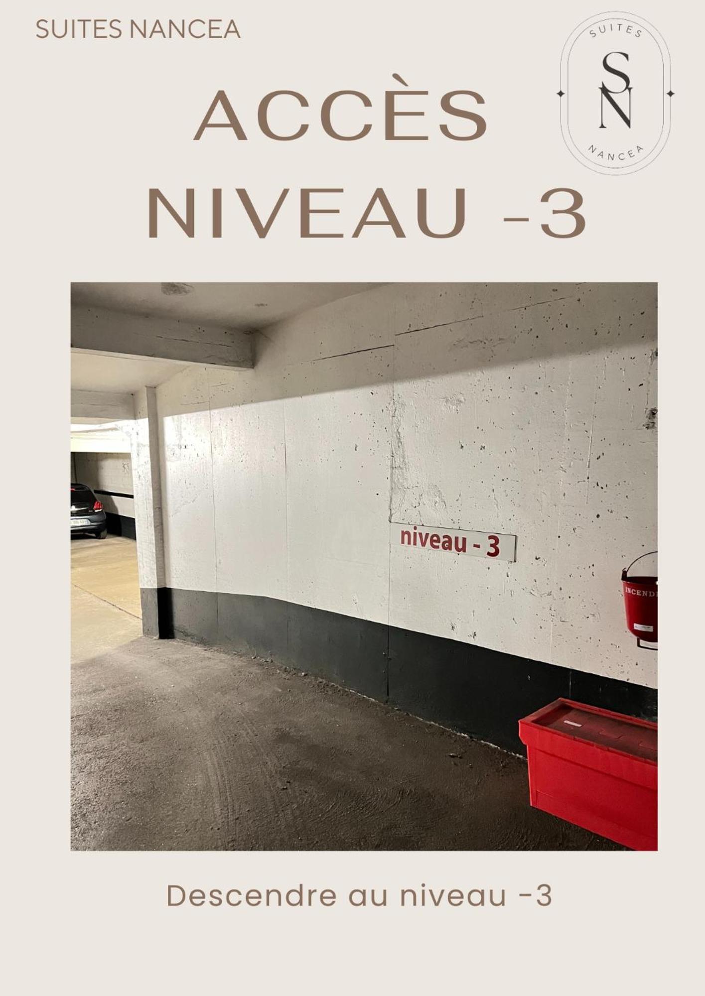 Апартаменты Vue Sur Le Palais - Nancy Gare Congres - Parking - T3 Экстерьер фото