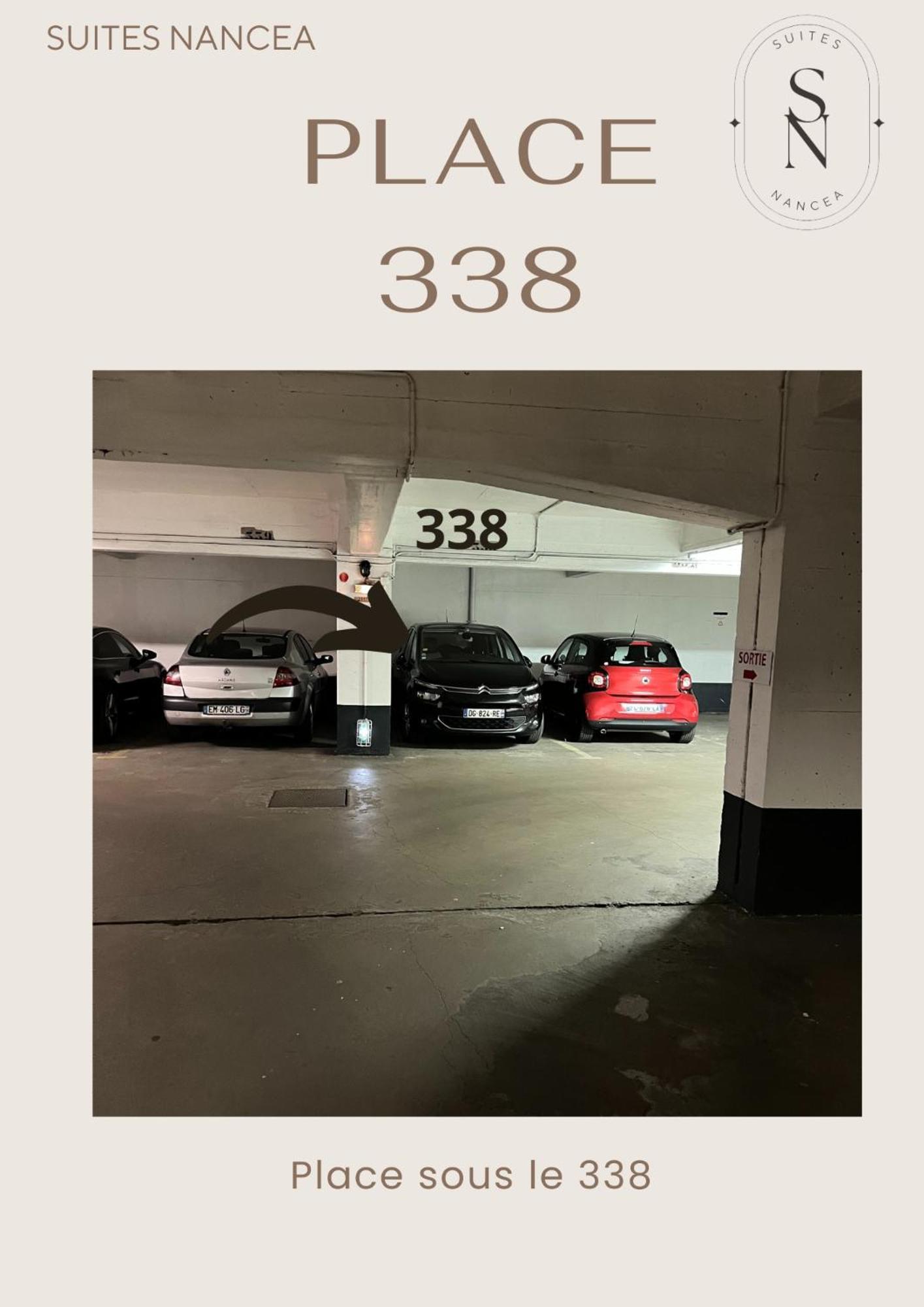 Апартаменты Vue Sur Le Palais - Nancy Gare Congres - Parking - T3 Экстерьер фото